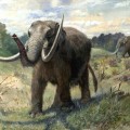 Image right: Mastadon, painting by Charles R. Knight