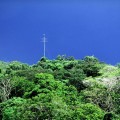 The Automated Radio Telemetry System on Barro Colorado Island, Smithsonian Tropical Research Institute