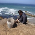 Torben Rick, Department of Anthropology, National Museum of Natural History excavating an archaeological site on Santa Rosa Island