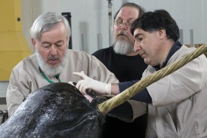 7030 SM_SM Photographers#F032