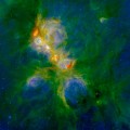 This representative-color photo of NGC 6334 combines infrared data from the Herschel and Spitzer spacecraft and ground-based NEWFIRM instrument. Warm dust, illuminated by the high-mass stars that are scattered throughout the cloud complex, shows up in green. The red and orange spots mark the very massive young stars that are just forming within the nebula. The dark clouds, primarily at the upper left and lower right of the image, mark the densest areas where the next generation of stars will form. The hazy blue-white regions mark where the light emitted by the hot young stars is reflected back to us by the remaining dust and gas. In this photo red shows light at a wavelength of 70 microns, green is 8 microns, and blue is 1.2 microns. (Credit: S. Willis (CfA); ESA/Herschel ; NASA/JPL-Caltech/SSC; CTIO/NOAO/AURA/NSF)