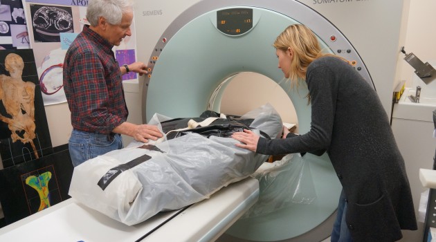 Unlocking secrets–technology allows scientists to peer inside great apes