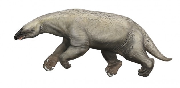 Thalassocnus-CarlBuell