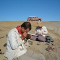 Scott Wing examines plant fossils in the Bighorn Basin