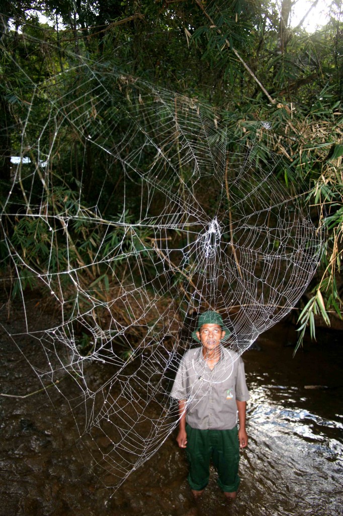 man looking at large spider web over river