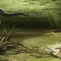 Image right: This illustration shows how Acherontisuchus guajiraensis, a 60-million-year-old ancestor of crocodiles, would have looked in its natural setting. Titanoboa, the world’s largest snake, is pictured in the background. (Illustration by Danielle Byerley/click to enlarge)