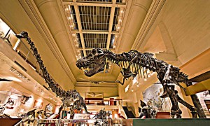 How do you dismantle a dinosaur?