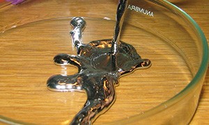 Ecosystems on the Edge: Tracking Mercury