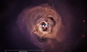 A giant collection of galaxies immersed in hot gas about 250 million light years from Earth. This image shows a new view of the Perseus cluster, one of the galaxy clusters included in the new study. (Image 
NASA/CXC/SAO)