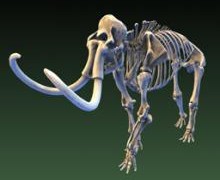 Smithsonian X 3D – Exhibits